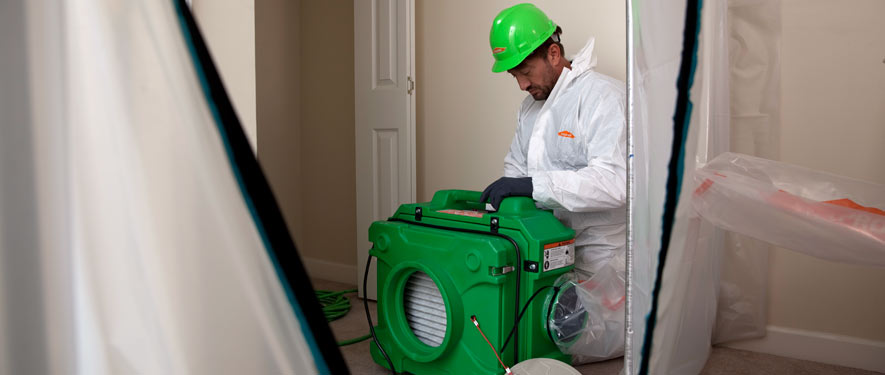 Sahuarita, AZ mold cleanup