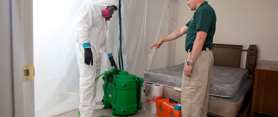 Sahuarita, AZ mold removal process